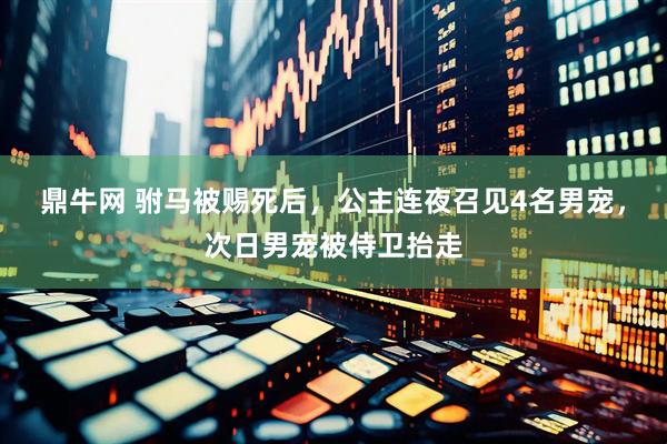 鼎牛网 驸马被赐死后，公主连夜召见4名男宠，次日男宠被侍卫抬走